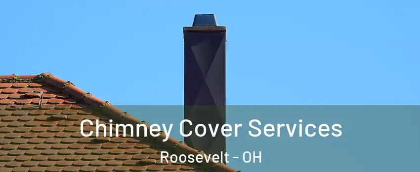 Chimney Cover Services Roosevelt - OH