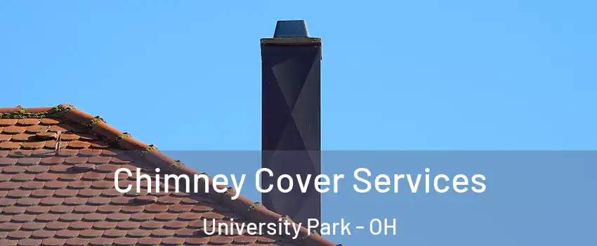 Chimney Cover Services University Park - OH