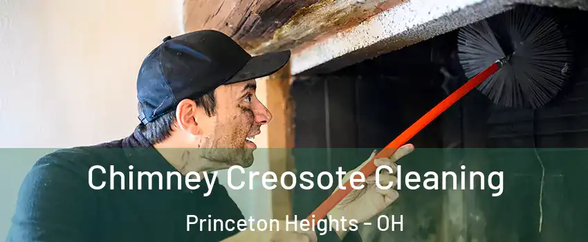 Chimney Creosote Cleaning Princeton Heights - OH