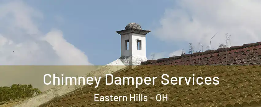 Chimney Damper Services Eastern Hills - OH
