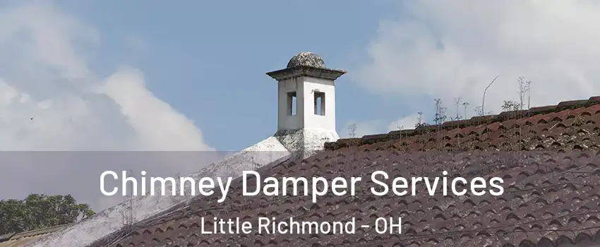 Chimney Damper Services Little Richmond - OH