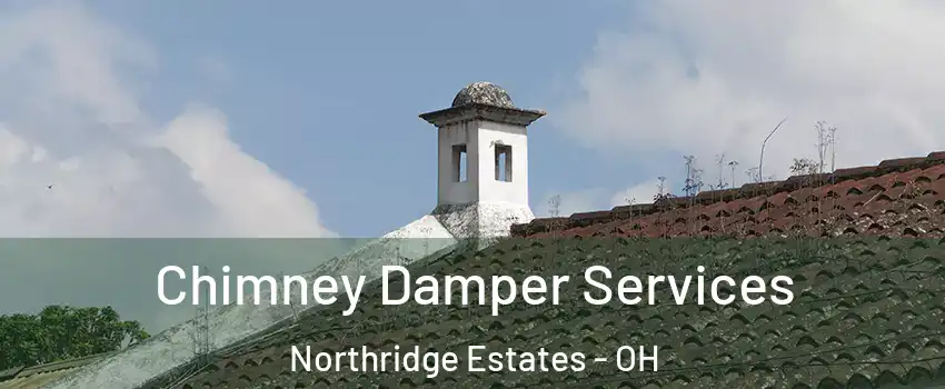 Chimney Damper Services Northridge Estates - OH