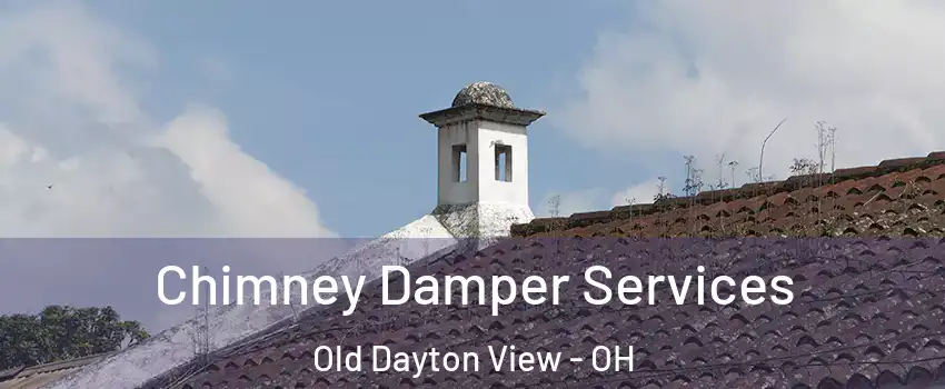 Chimney Damper Services Old Dayton View - OH