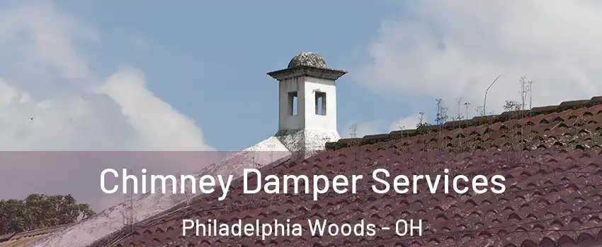 Chimney Damper Services Philadelphia Woods - OH
