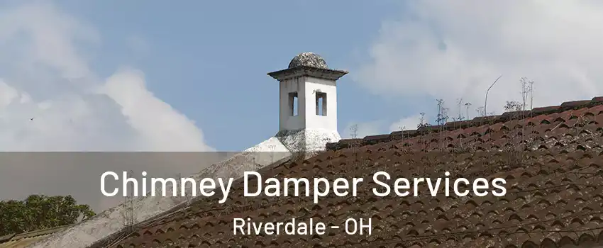 Chimney Damper Services Riverdale - OH