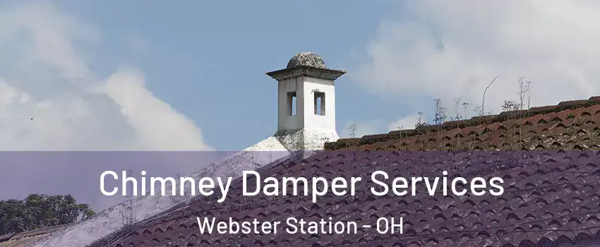 Chimney Damper Services Webster Station - OH