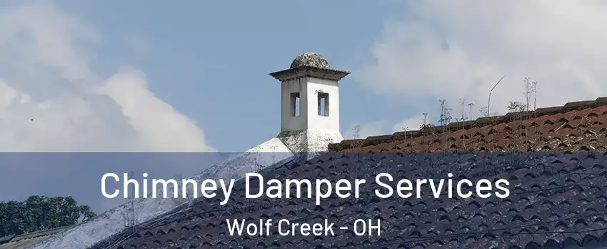 Chimney Damper Services Wolf Creek - OH