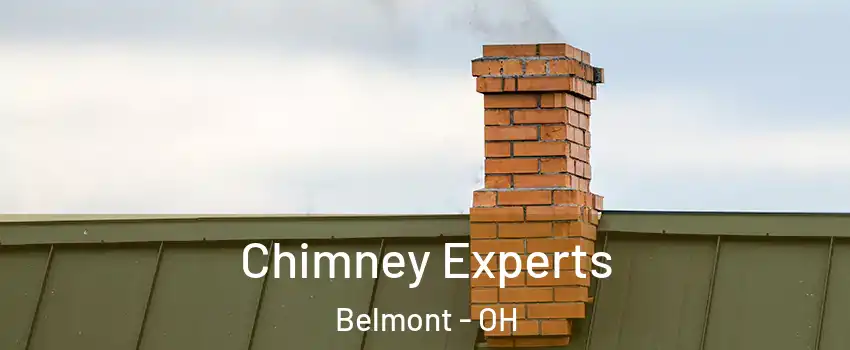 Chimney Experts Belmont - OH