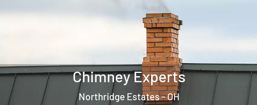 Chimney Experts Northridge Estates - OH