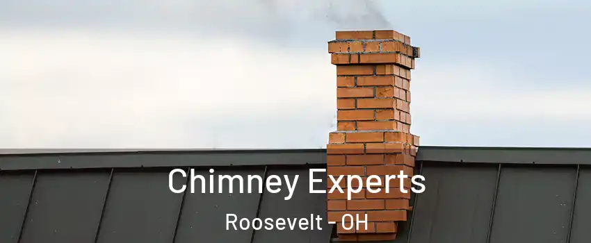 Chimney Experts Roosevelt - OH
