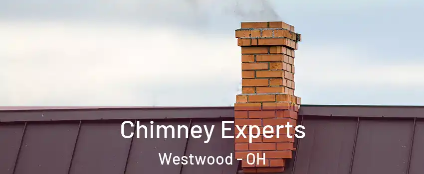 Chimney Experts Westwood - OH