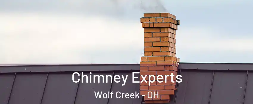 Chimney Experts Wolf Creek - OH