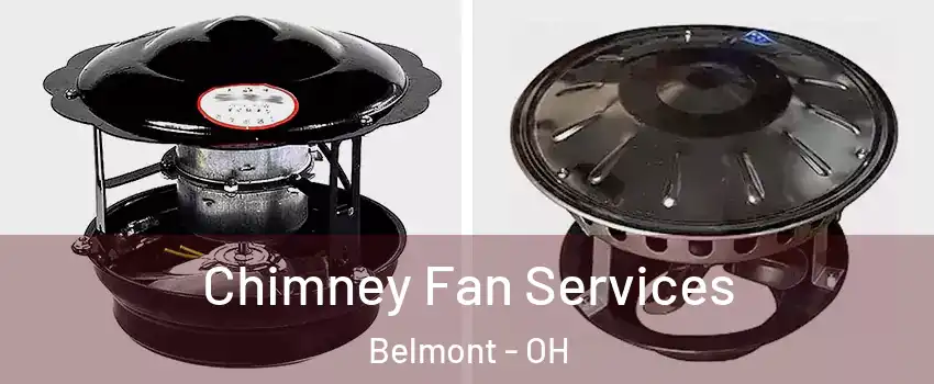 Chimney Fan Services Belmont - OH