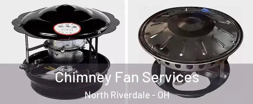 Chimney Fan Services North Riverdale - OH