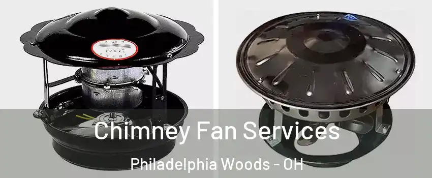 Chimney Fan Services Philadelphia Woods - OH