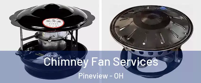 Chimney Fan Services Pineview - OH