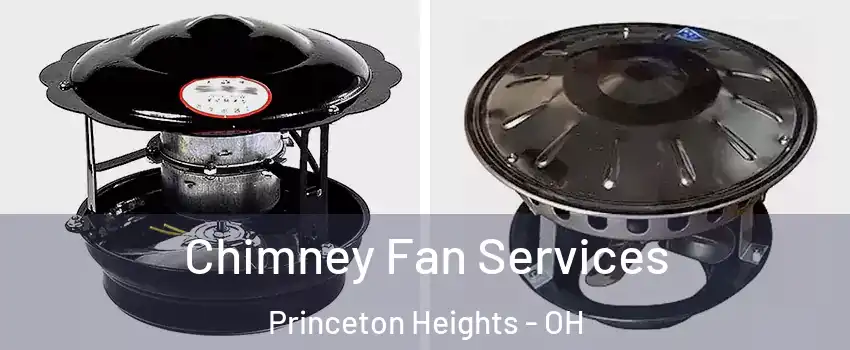 Chimney Fan Services Princeton Heights - OH