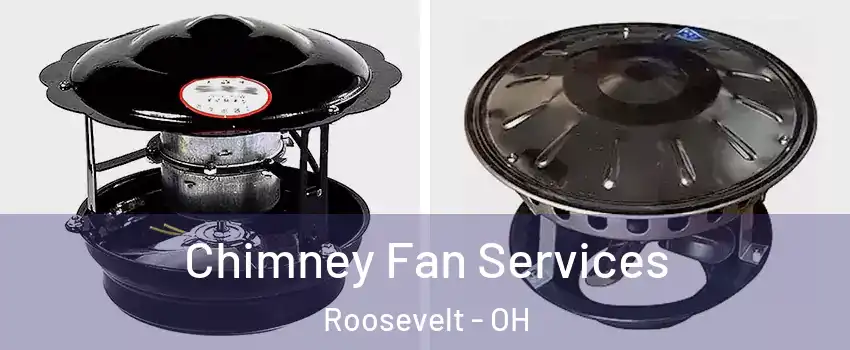 Chimney Fan Services Roosevelt - OH