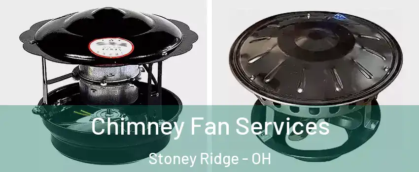 Chimney Fan Services Stoney Ridge - OH