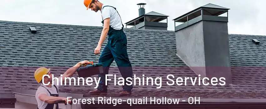 Chimney Flashing Services Forest Ridge-quail Hollow - OH