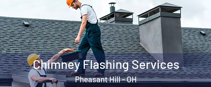 Chimney Flashing Services Pheasant Hill - OH