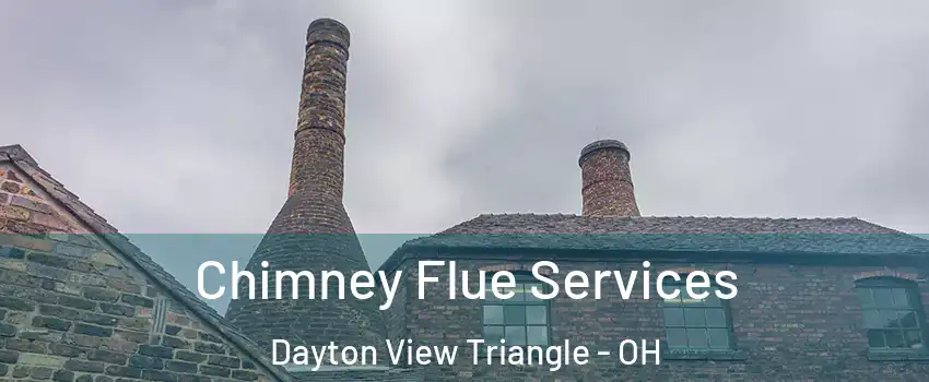 Chimney Flue Services Dayton View Triangle - OH