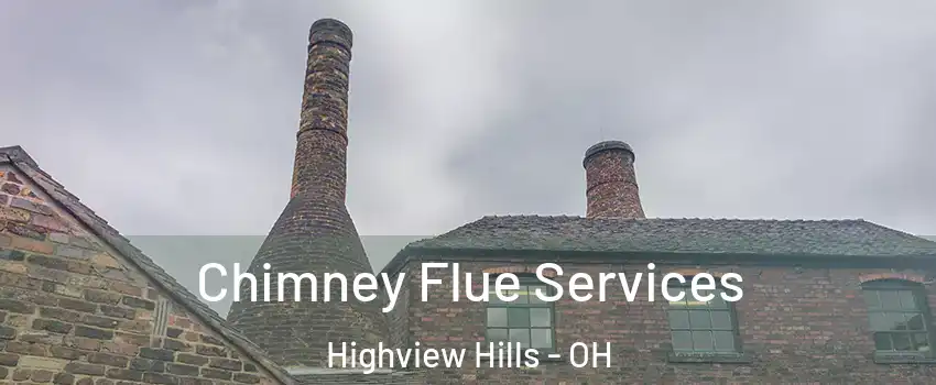 Chimney Flue Services Highview Hills - OH