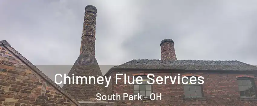 Chimney Flue Services South Park - OH
