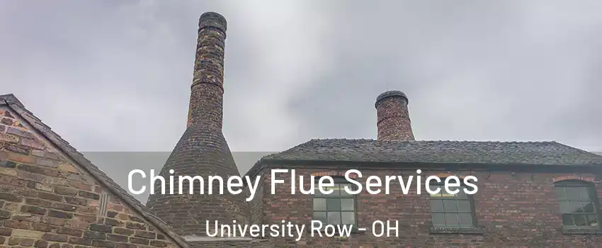 Chimney Flue Services University Row - OH
