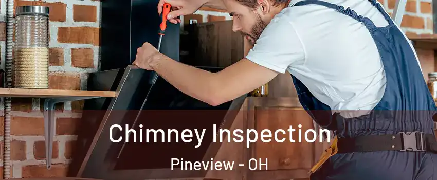 Chimney Inspection Pineview - OH