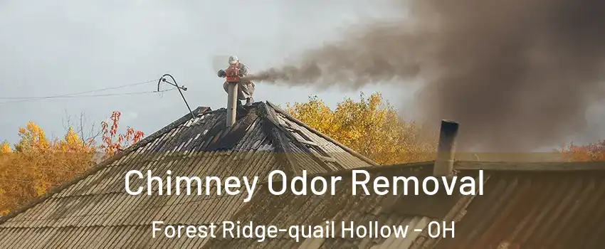 Chimney Odor Removal Forest Ridge-quail Hollow - OH