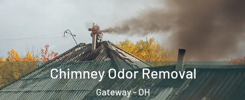 Chimney Odor Removal Gateway - OH