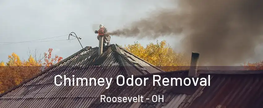 Chimney Odor Removal Roosevelt - OH