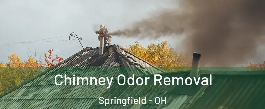 Chimney Odor Removal Springfield - OH
