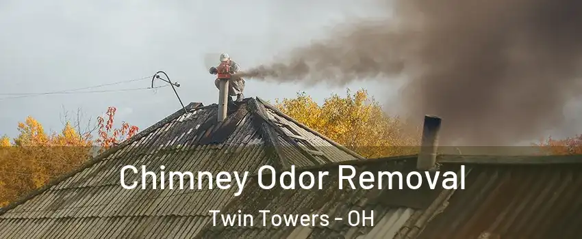 Chimney Odor Removal Twin Towers - OH