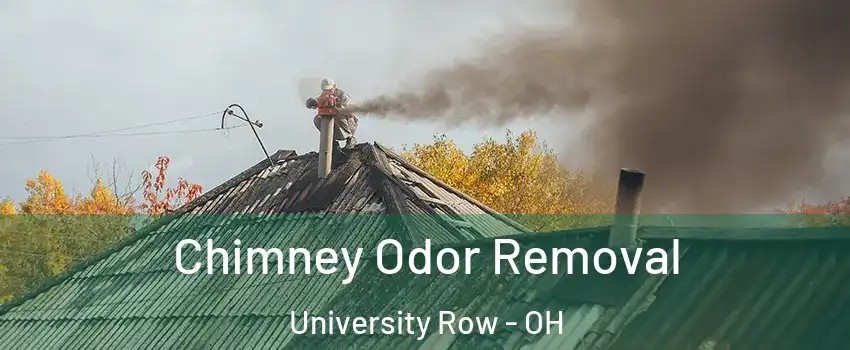 Chimney Odor Removal University Row - OH