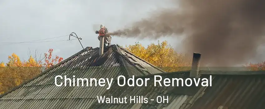 Chimney Odor Removal Walnut Hills - OH