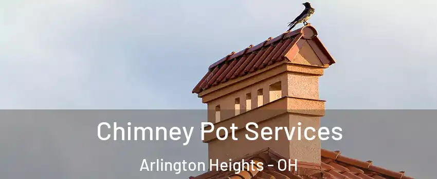 Chimney Pot Services Arlington Heights - OH