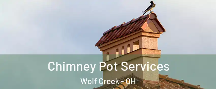 Chimney Pot Services Wolf Creek - OH