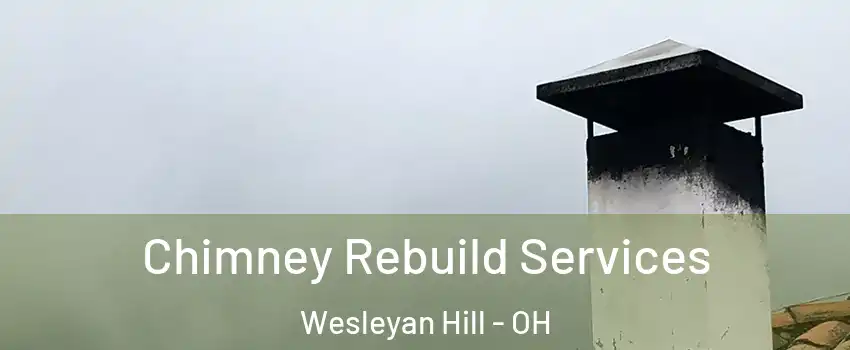 Chimney Rebuild Services Wesleyan Hill - OH
