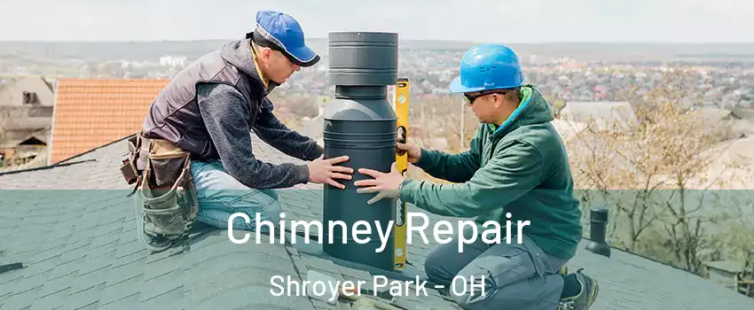Chimney Repair Shroyer Park - OH