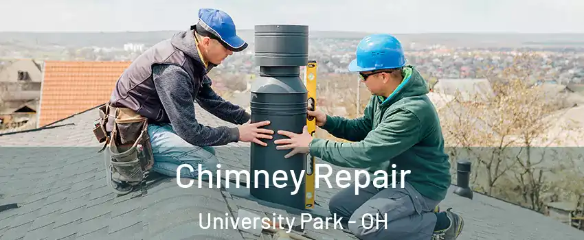 Chimney Repair University Park - OH