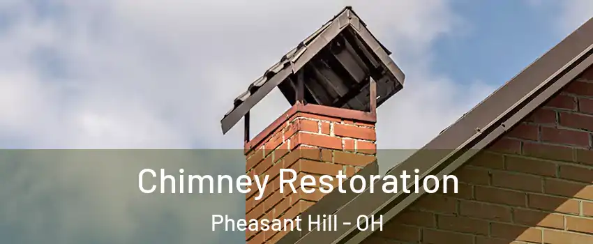 Chimney Restoration Pheasant Hill - OH