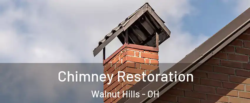 Chimney Restoration Walnut Hills - OH