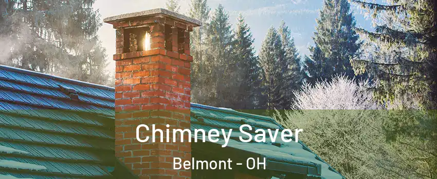 Chimney Saver Belmont - OH