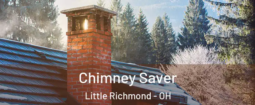 Chimney Saver Little Richmond - OH