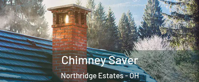 Chimney Saver Northridge Estates - OH