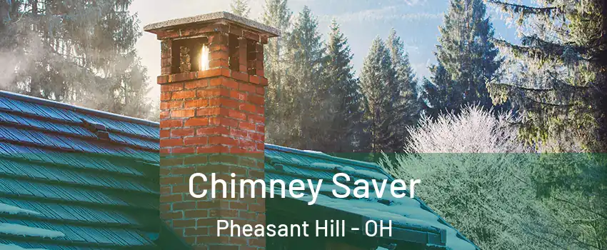 Chimney Saver Pheasant Hill - OH