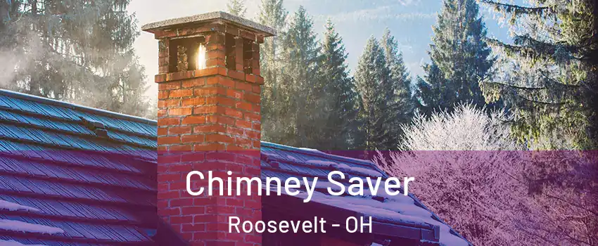 Chimney Saver Roosevelt - OH