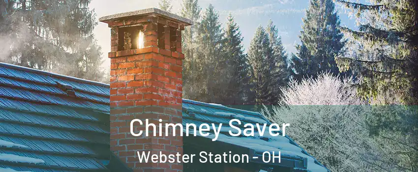 Chimney Saver Webster Station - OH